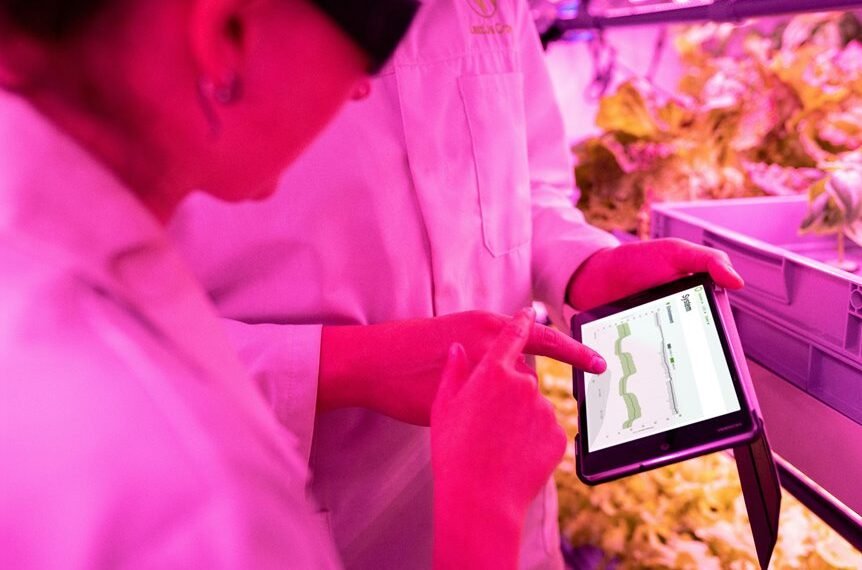 empower growth with technology